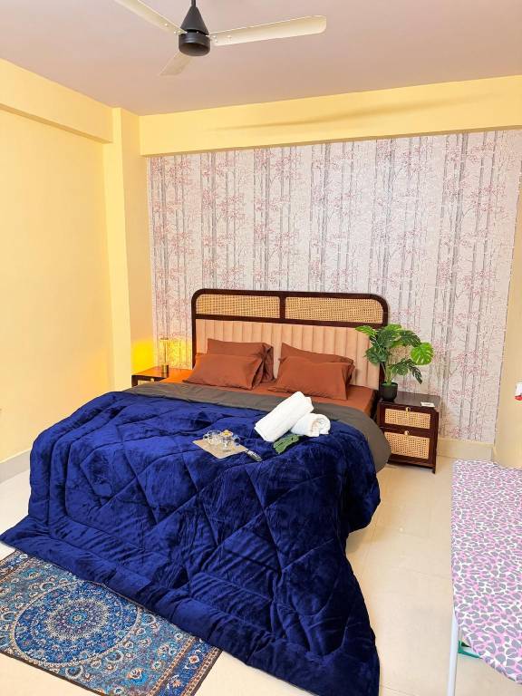 Ample house | Pets allowed in Tola