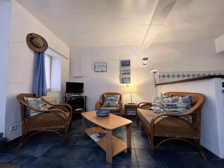 House with 2 rooms for 6 persons in Collioure