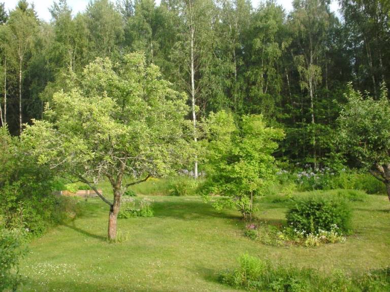foto13