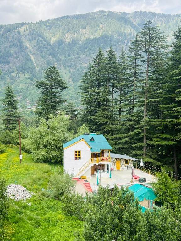 Asha Cottage Manali — photo 4