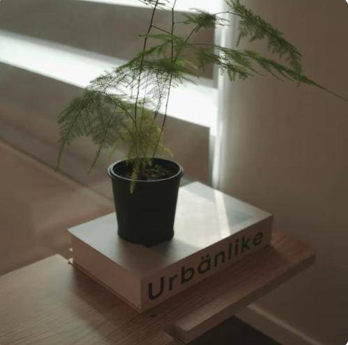 foto10
