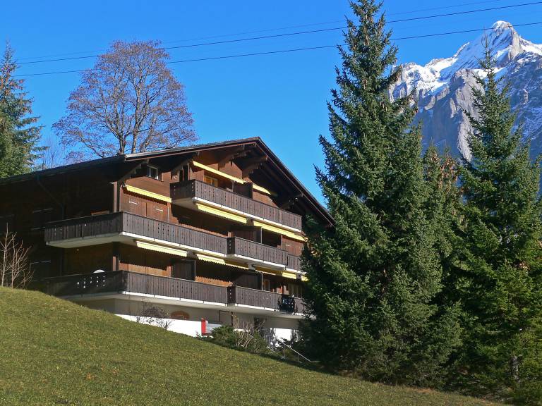 Ferienwohnung  Grindelwald