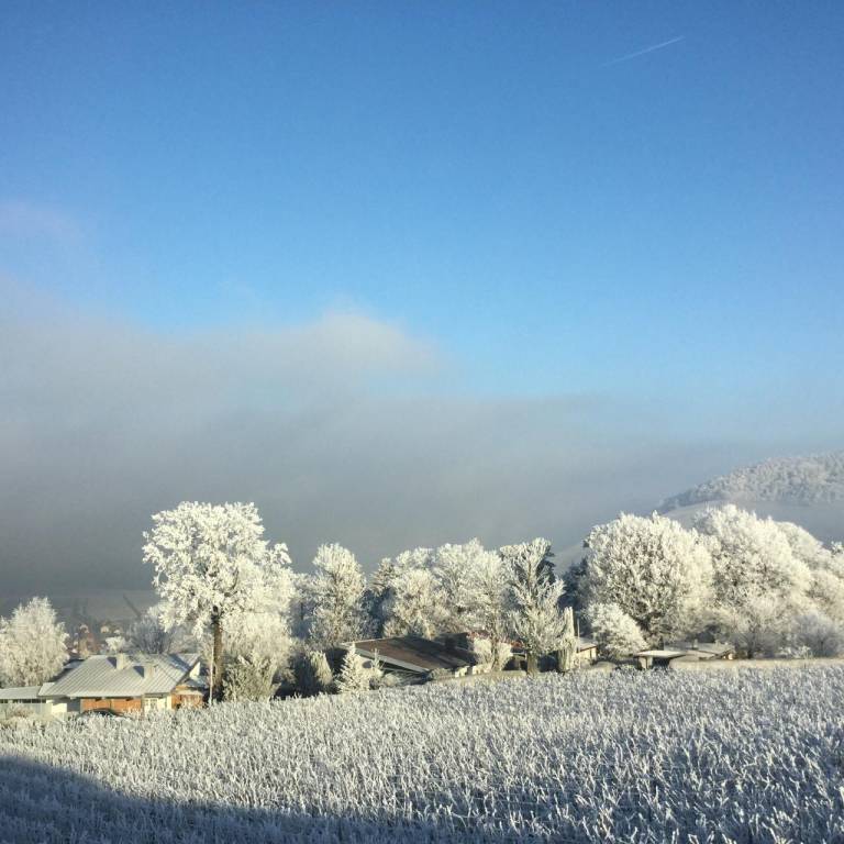 foto44
