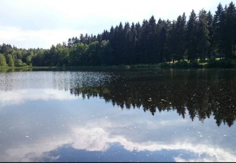 foto5