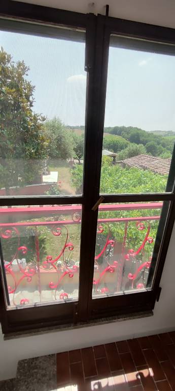 House with yard & barbecue — photo 2
