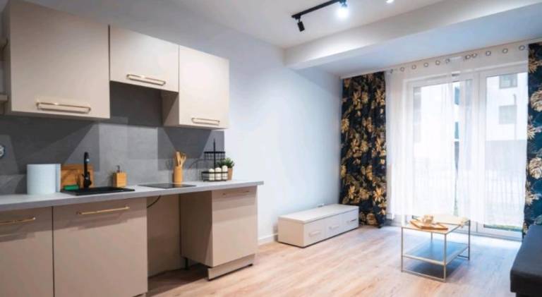 Beautiful holiday apartment | Dogs allowed in Katowice