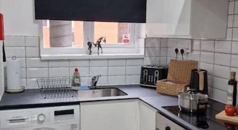 Nice holiday apartment | Pets are welcome — photo 5