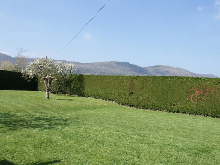 foto11