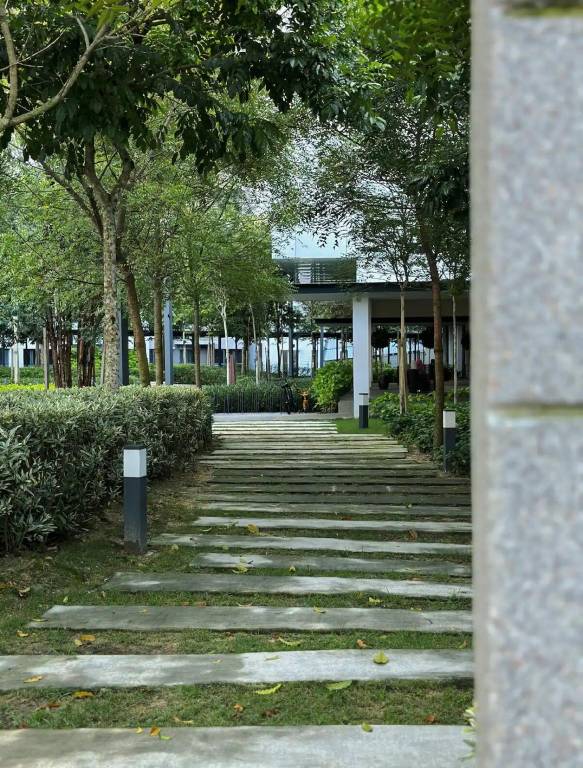 foto19