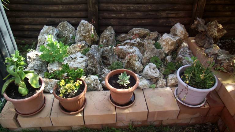 foto19