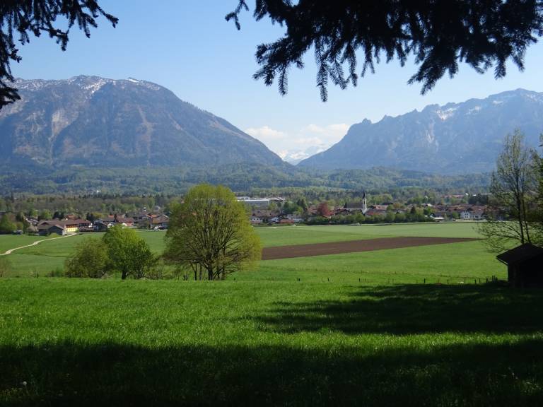 foto16