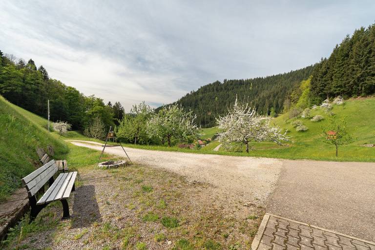 foto41