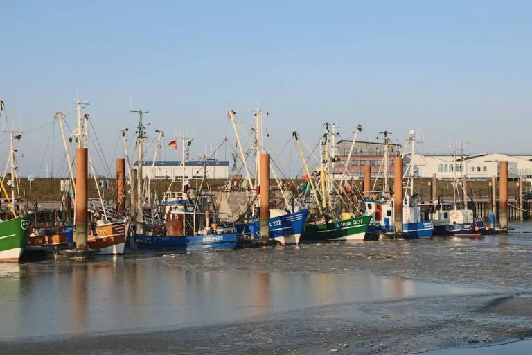 Ferienhaus Norddeich