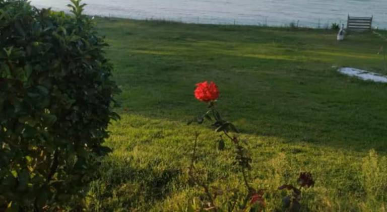 foto7