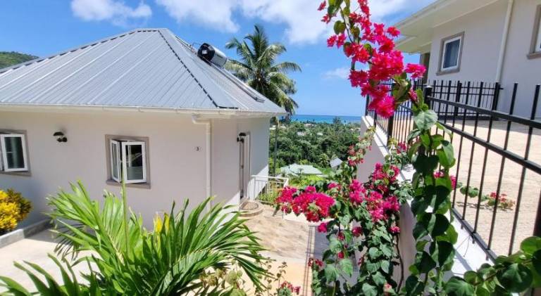foto39