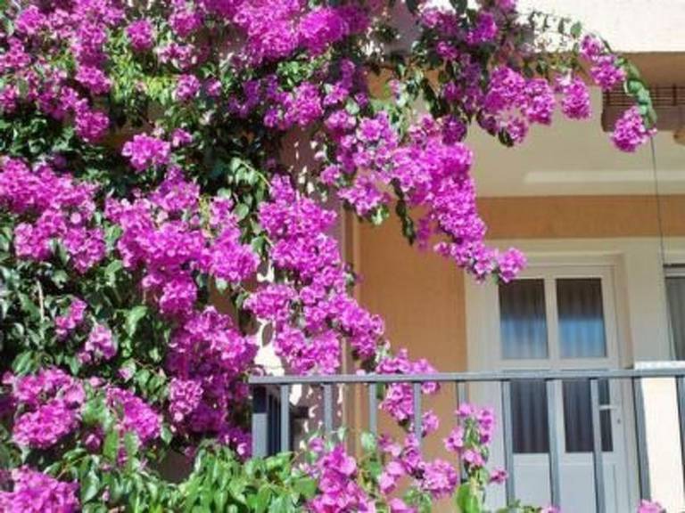 Mit privater Terrasse in Medulin