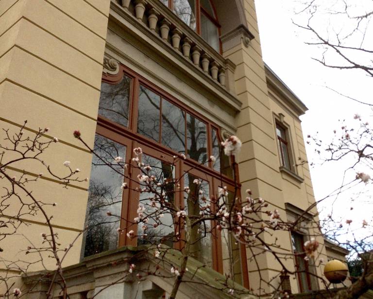 Apartment Loschwitz