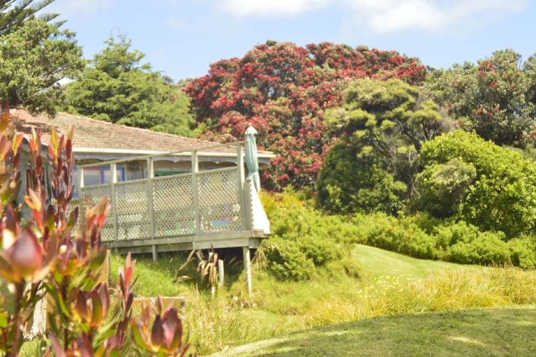 House  Waitakere