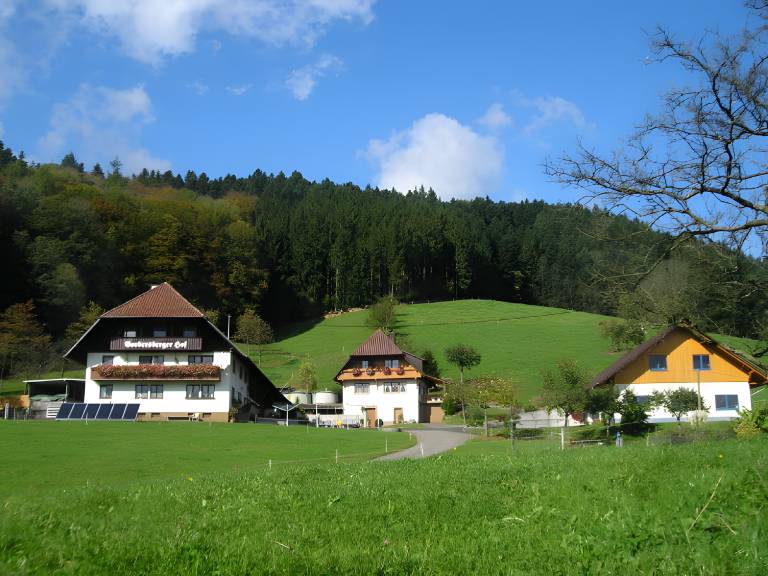 foto18