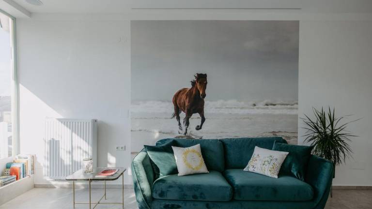 Ferienwohnung Jois