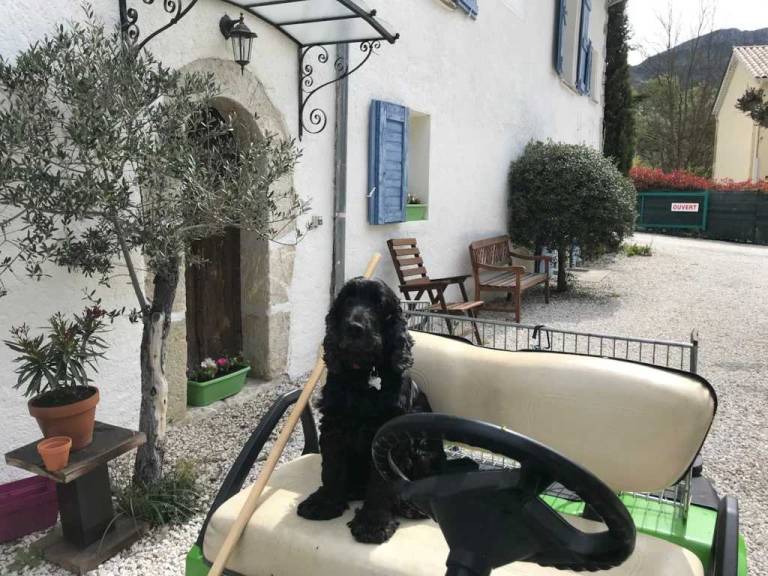 foto17