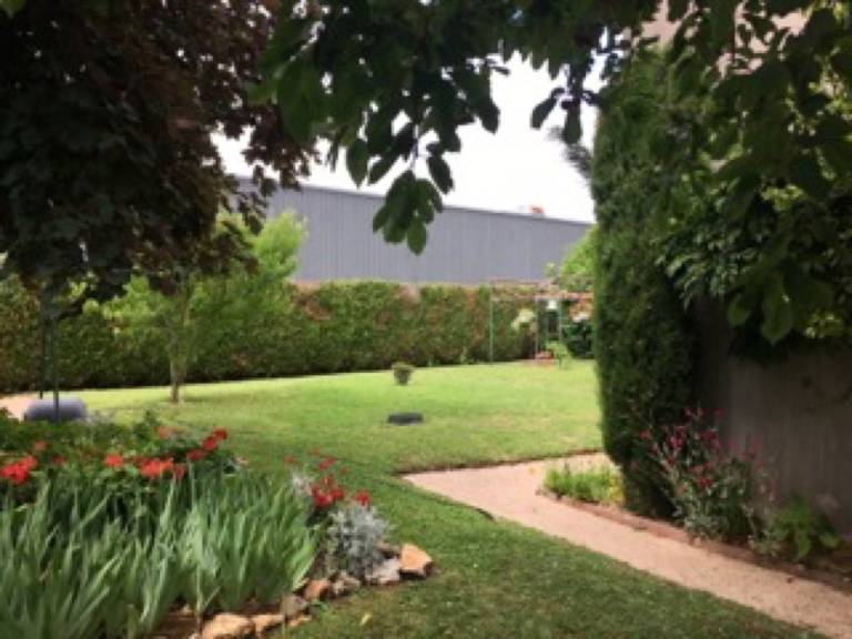 foto17