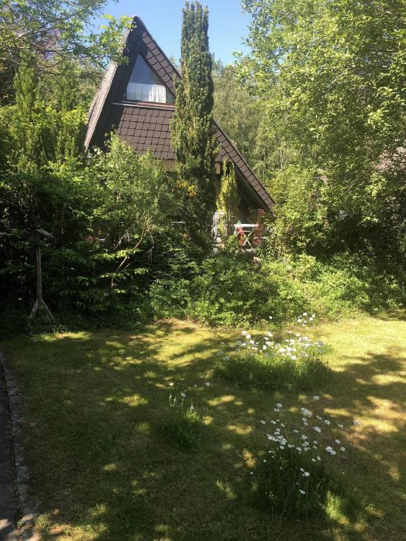foto25