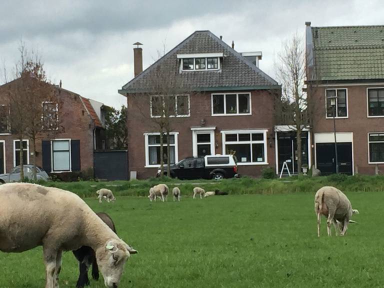 Bed & Breakfast Utrecht