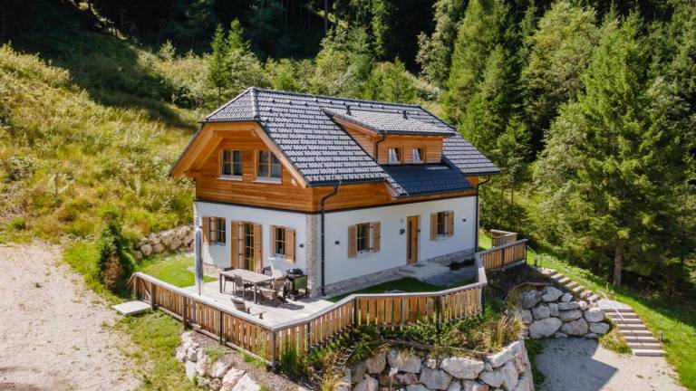Ferienhaus  Donnersbachwald