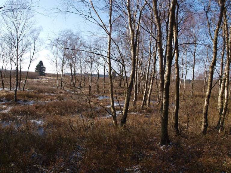 foto14