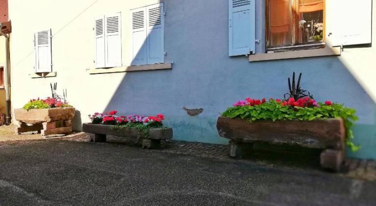 foto15