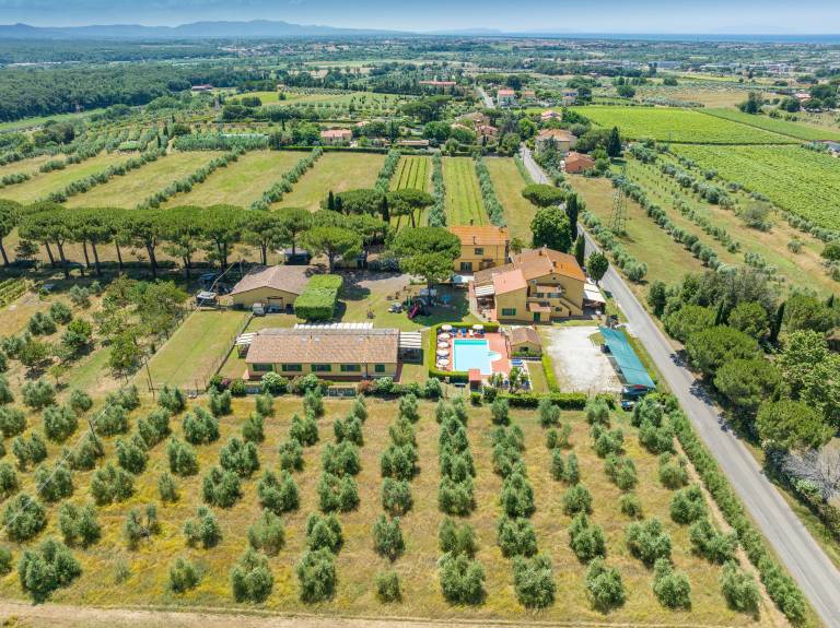Beautiful farm with patio, garden & fast internet | Garden view | Pets allowed — photo 3
