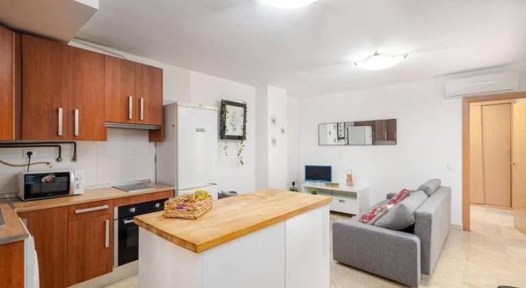 Quiet 1BR Terrace Apartment Near Centro & Beach — photo 3