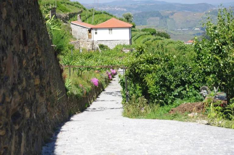 foto43