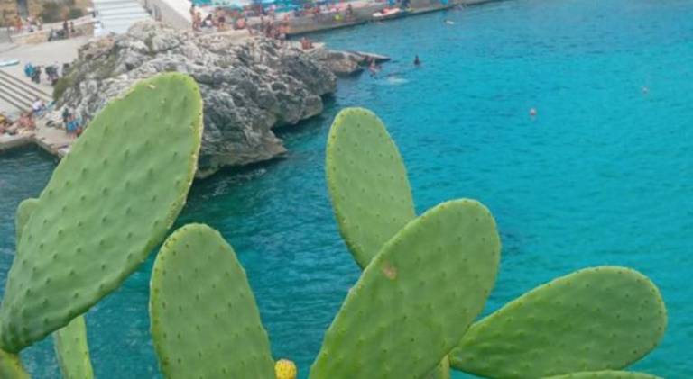 Rental apartment with 2 rooms for 5 persons in Santa Cesarea Terme
