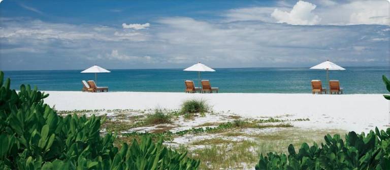 Vacation home with private pool, yard & terrace | Garden view — photo 4