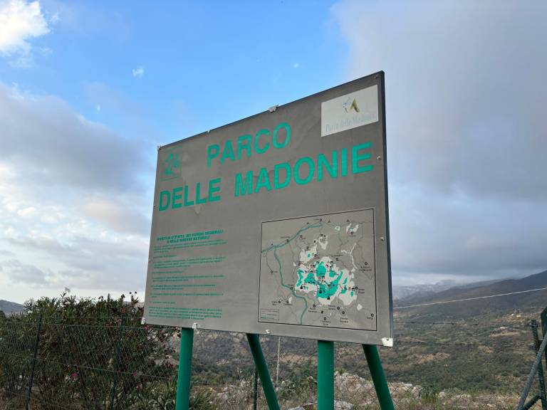 foto1