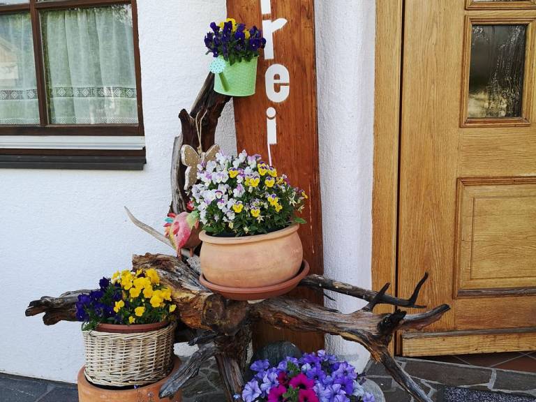 foto20