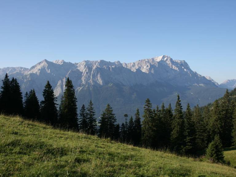 foto19