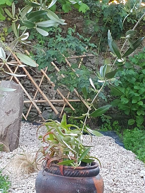 Appartement Bourgneuf-en-Retz