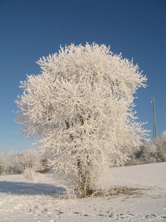 foto3