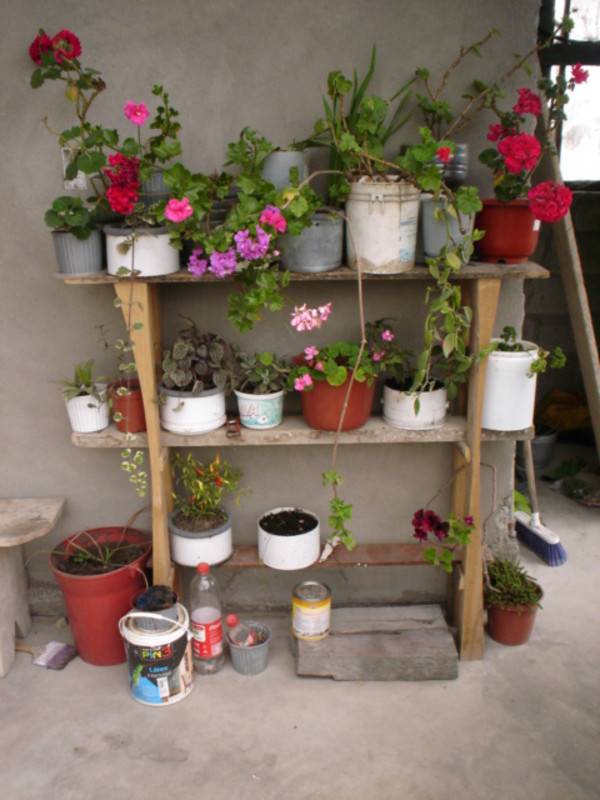 foto9