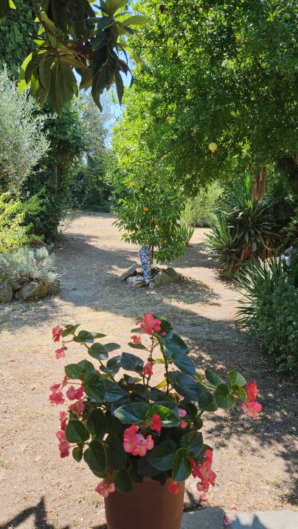 foto17