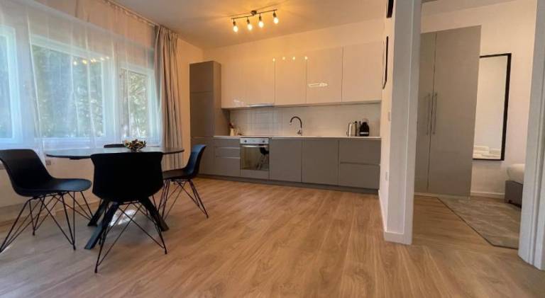 Apartment with terrace — photo 2