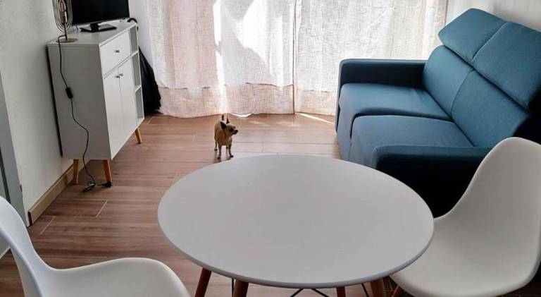 Nice rental apartment | Pet-friendly in La Valette-du-Var