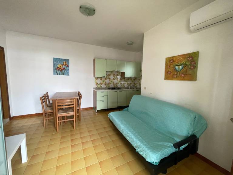 Apartament Rosapineta