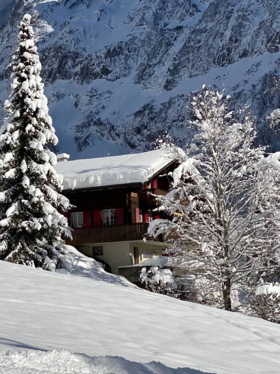 Ferienwohnung in Grindelwald für max. 5 Gäste