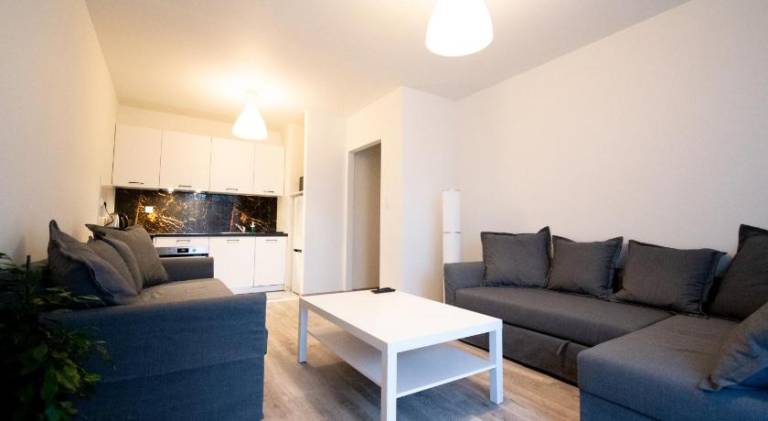 Beautiful rental apartment | Dogs allowed in Lódz