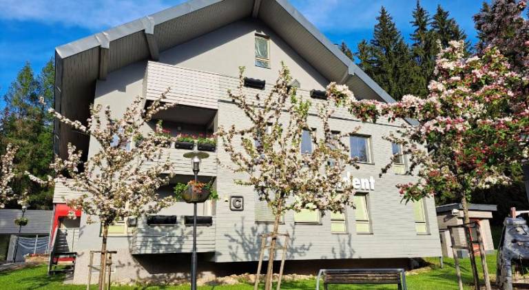Nice rental apartment | Pets are welcome in Harrachov