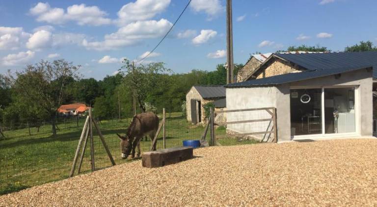 Camping de la ferme aux anesses, mobil home myrtille — photo 4